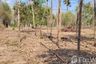 Land for sale in Yom, Nan