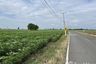 Land for sale in Huai Hom, Nakhon Sawan