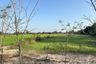 Land for sale in Nong Krot, Nakhon Sawan