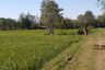 Land for sale in Khwao Yai, Maha Sarakham