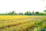 Land for sale in Bang Khanak, Chachoengsao