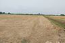 Land for sale in Bang Toei, Chachoengsao