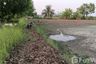 Land for sale in Bueng Ba, Pathum Thani