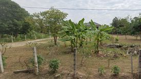 Land for sale in Khok Sung, Nakhon Ratchasima