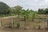 Land for sale in Khok Sung, Nakhon Ratchasima