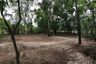 Land for sale in Khlong Yong, Nakhon Pathom