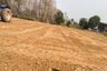 Land for sale in Phon, Kalasin