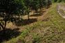 Land for sale in Thung Khao Phuang, Chiang Mai
