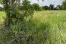 Land for sale in Si Mum, Nakhon Ratchasima