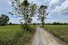 Land for sale in Si Mum, Nakhon Ratchasima