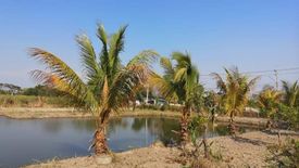 Land for sale in Bo Ngoen, Pathum Thani