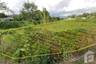 Land for sale in Nang Lae, Chiang Rai