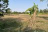 Land for sale in Chum Het, Buriram
