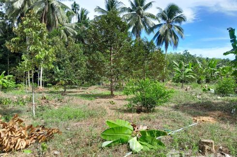 Land for sale in Lan Khoi, Phatthalung
