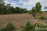 Land for sale in Banlang, Nakhon Ratchasima