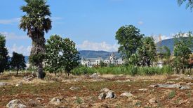 Land for sale in Wang Sai, Nakhon Ratchasima