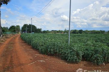 Land for sale in Wang Sai, Nakhon Ratchasima