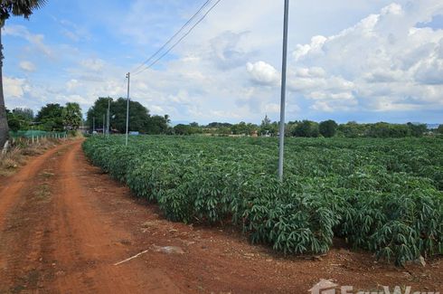 Land for sale in Wang Sai, Nakhon Ratchasima