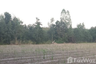 Land for sale in Bua Khao, Kalasin