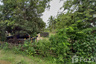 Land for sale in Siao, Sisaket