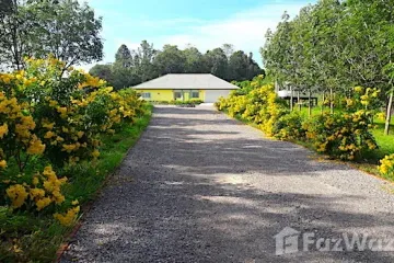 Land for sale in Na Din Dam, Loei