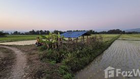 Land for sale in Wiang, Chiang Mai