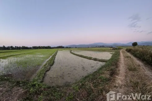 Land for sale in Wiang, Chiang Mai