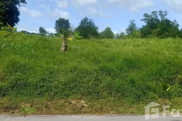 Land for sale in Sakhu, Phuket