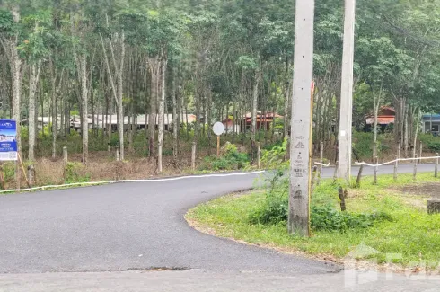Land for sale in Thep Krasatti, Phuket