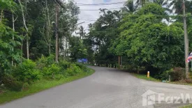 Land for sale in Thep Krasatti, Phuket