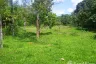 Land for sale in Si Sunthon, Phuket