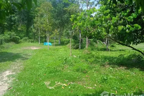 Land for sale in Si Sunthon, Phuket