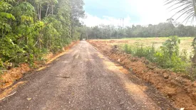 Land for sale in Pa Khlok, Phuket