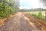 Land for sale in Pa Khlok, Phuket