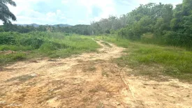 Land for sale in Pa Khlok, Phuket
