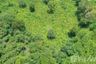 Land for sale in Thep Krasatti, Phuket