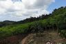 Land for sale in Pa Khlok, Phuket