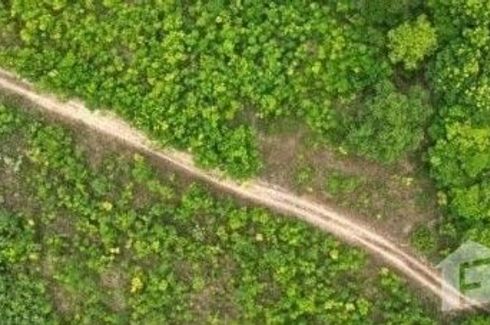 Land for sale in Mai Khao, Phuket