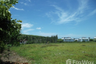 Land for sale in Pa Khlok, Phuket