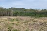Land for sale in Pa Khlok, Phuket