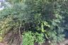 Land for sale in Baan Sinpatthanathanee, Thawi Watthana, Bangkok