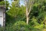 Land for sale in Baan Sinpatthanathanee, Thawi Watthana, Bangkok