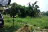 Land for sale in Ngio Rai, Phichit