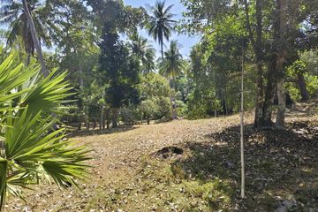 Land for sale in Rawai, Phuket
