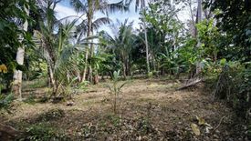 Land for sale in Chalong, Phuket