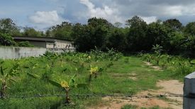 Land for sale in Nong Prue, Chonburi