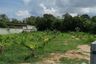 Land for sale in Nong Prue, Chonburi