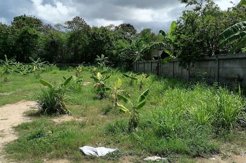 Land for sale in Nong Prue, Chonburi