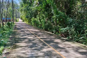 Land for sale in Ko Yao Noi, Phang Nga