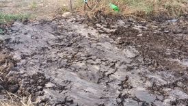 Land for sale in Bueng Kham Phroi, Pathum Thani